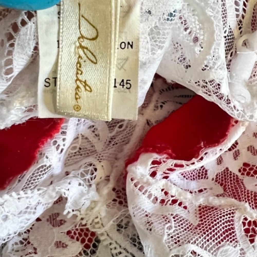 Vintage Delicates Negligee - Picture 7 of 7
